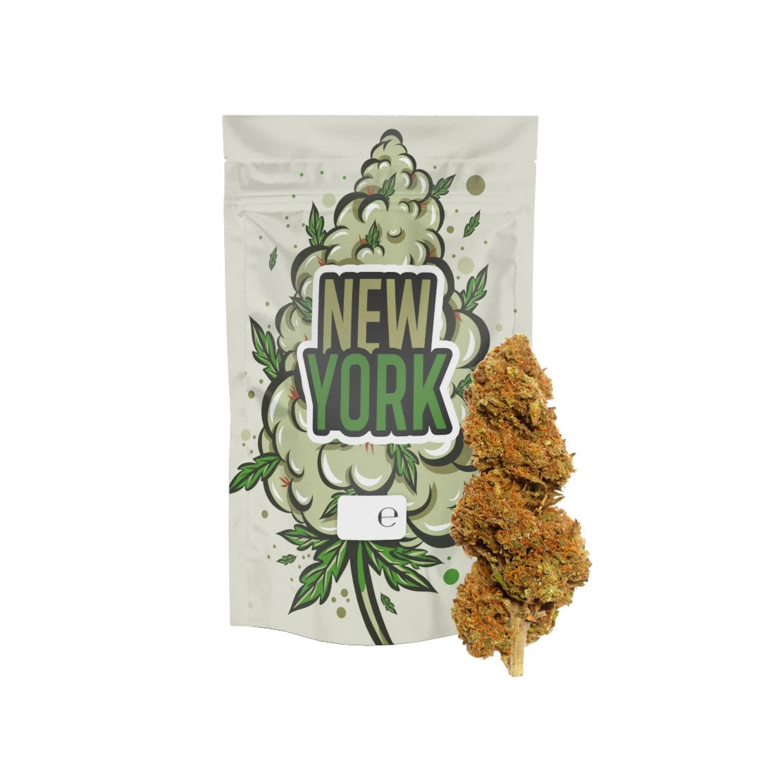 5GR - New York Diesel - Oferta