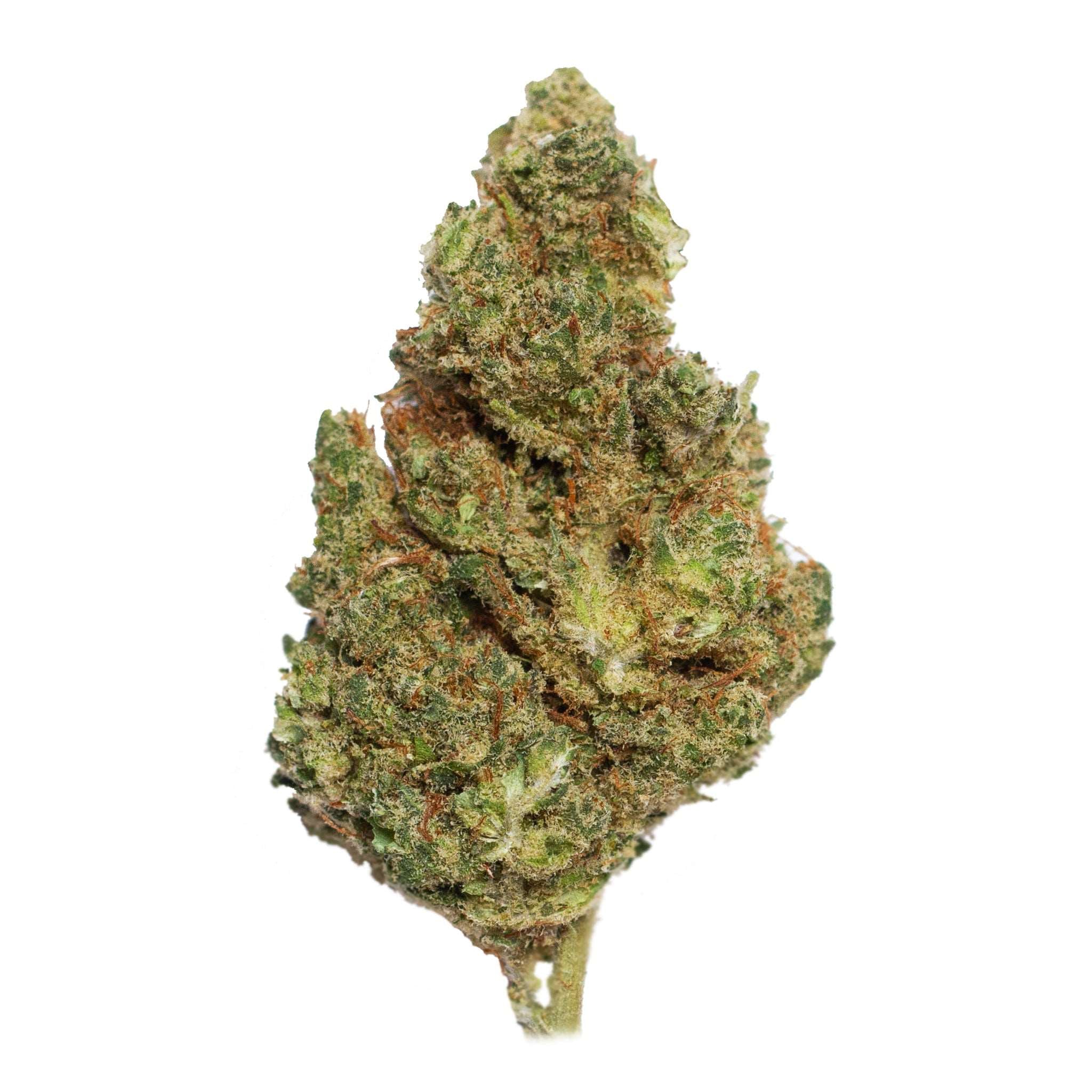 Super Lemon Haze (hydroponic) - CBDream