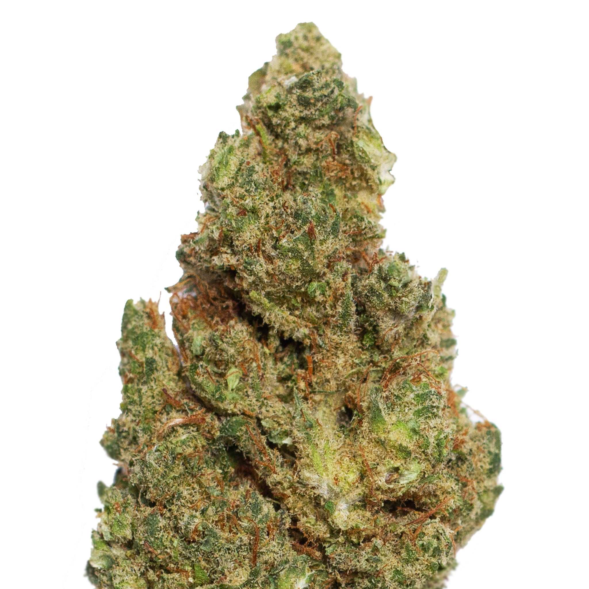 Super Lemon Haze (hidropónica) - CBDream